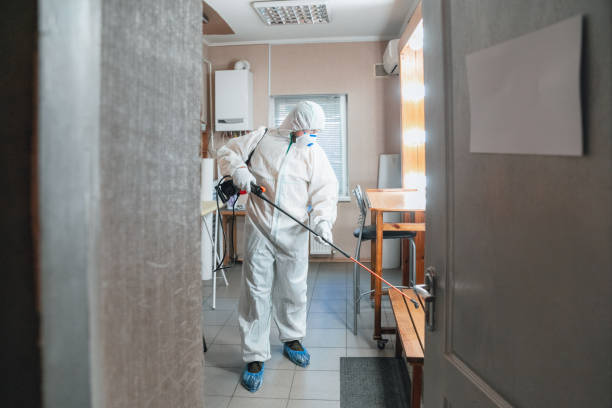 Best Mold Remediation for Rental Properties  in Ingalls Park, IL