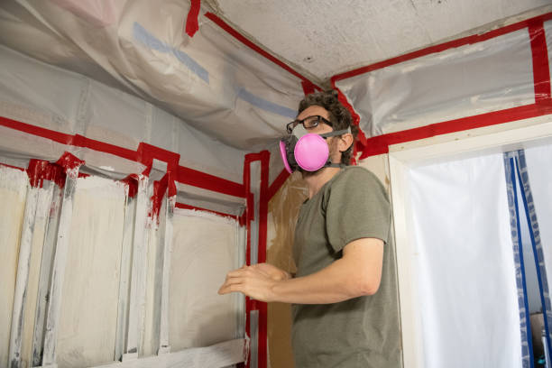 Best Crawl Space Mold Remediation  in Ingalls Park, IL