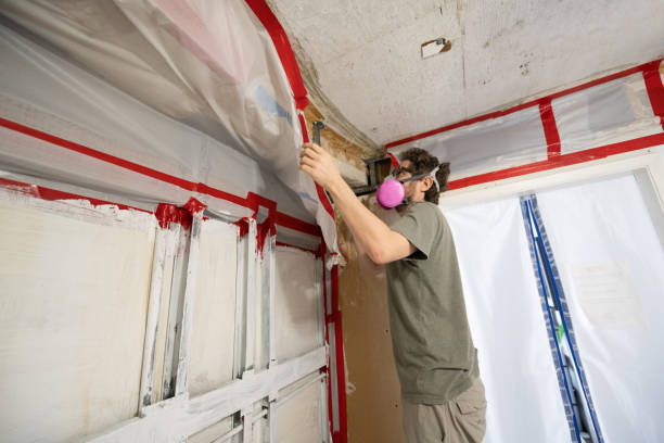 Best Residential Mold Inspection & Testing  in Ingalls Park, IL